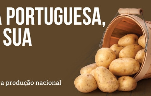 Intermarché apoia e promove batata portuguesa