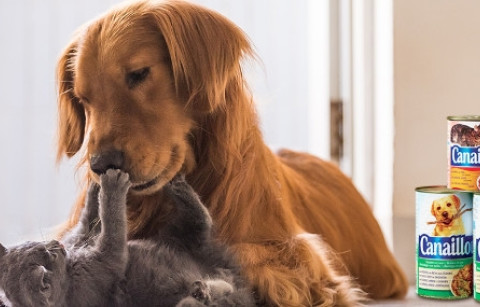 Dia Mundial do Animal - 4 de Outubro