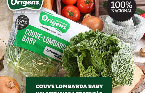 Couve Lombarda Baby com produção 100% de origem portuguesa