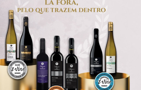 7 vinhos medalhados pelo Concurso International Wine Challenge (IWC 2020)
