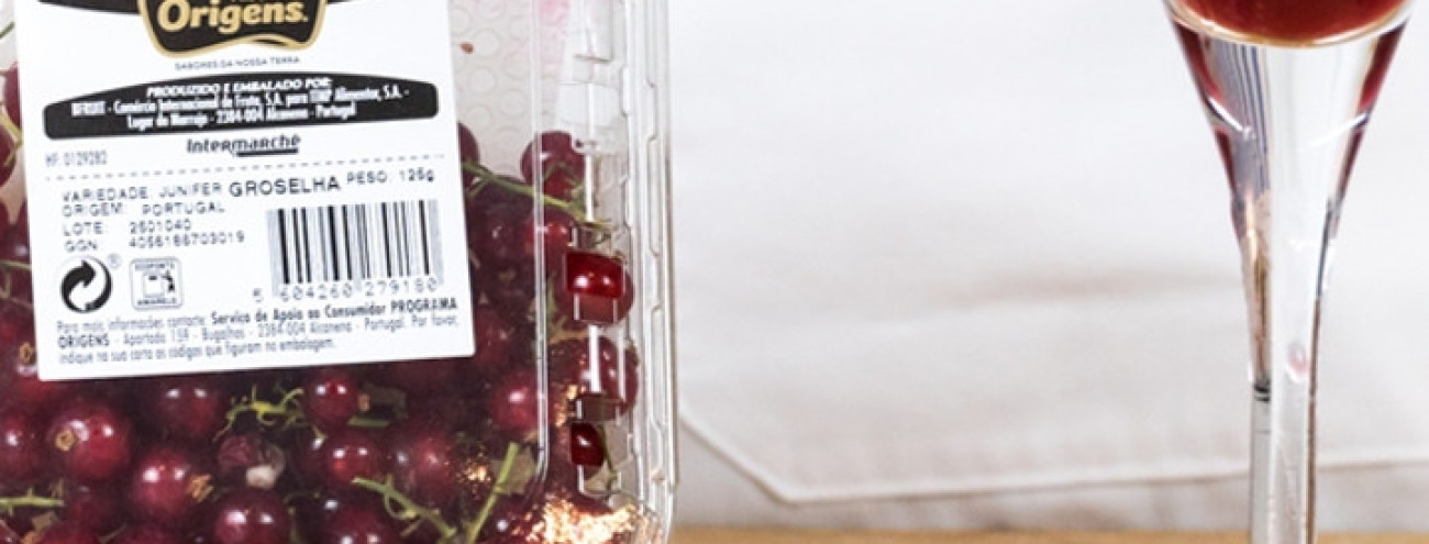SUMO DE FRUTOS SILVESTRES