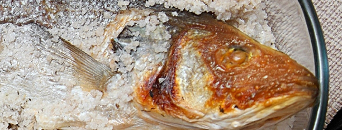 ROBALO AO SAL