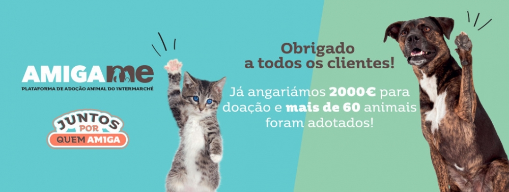 Amiga-me : plataforma para ajudar ou até mesmo adoptar os nossos animais de estimação e as instituições nelas inseridos