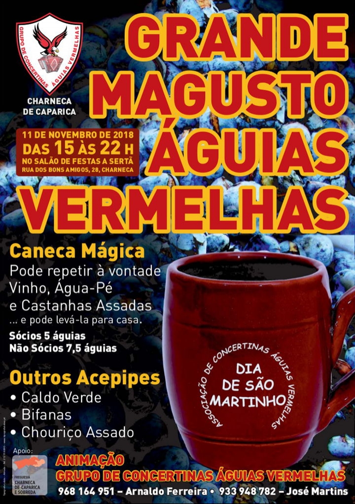 Grande Magusto Águias Vermelhas: Cartaz